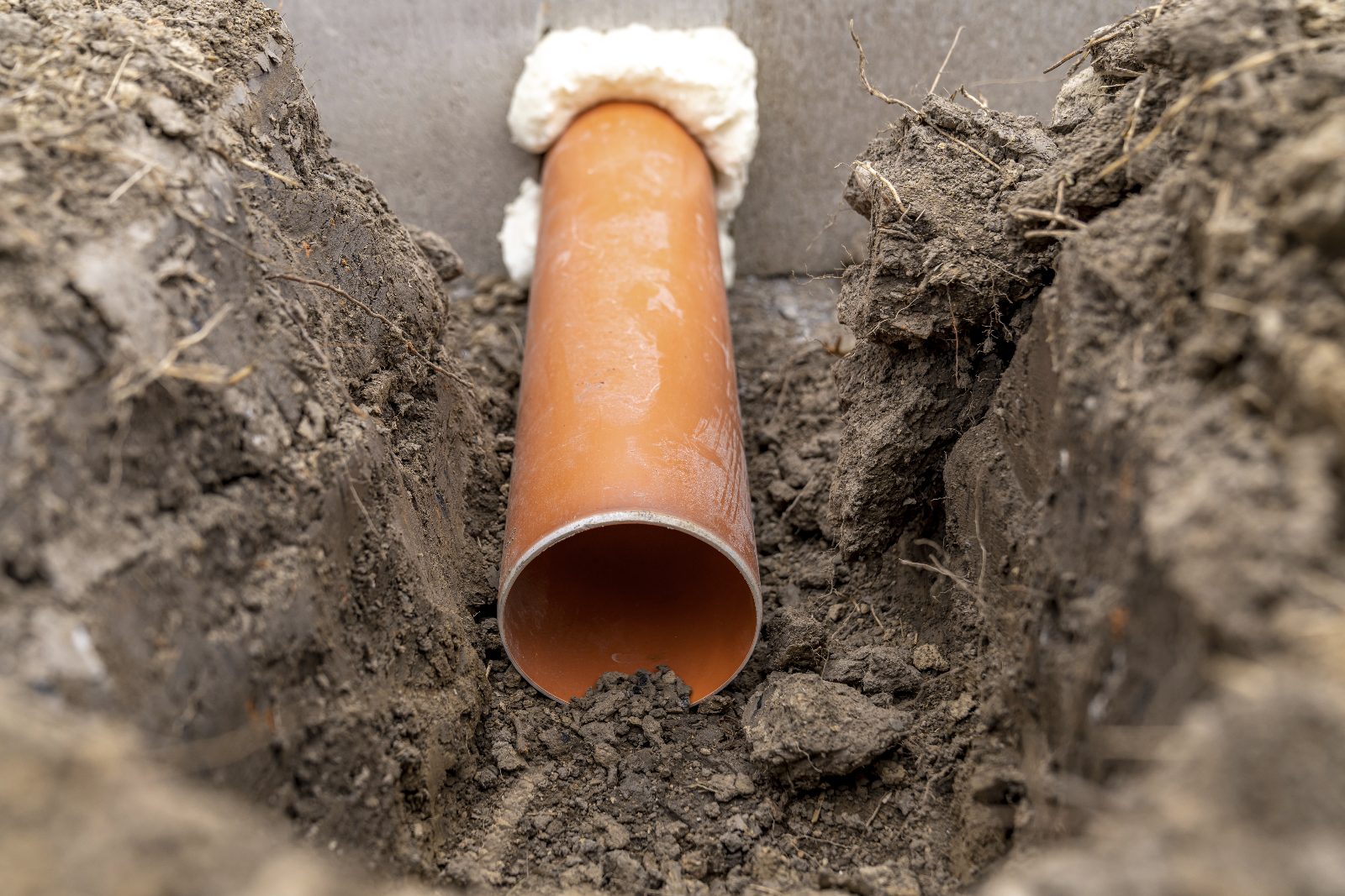 Sewer Line Root Removal